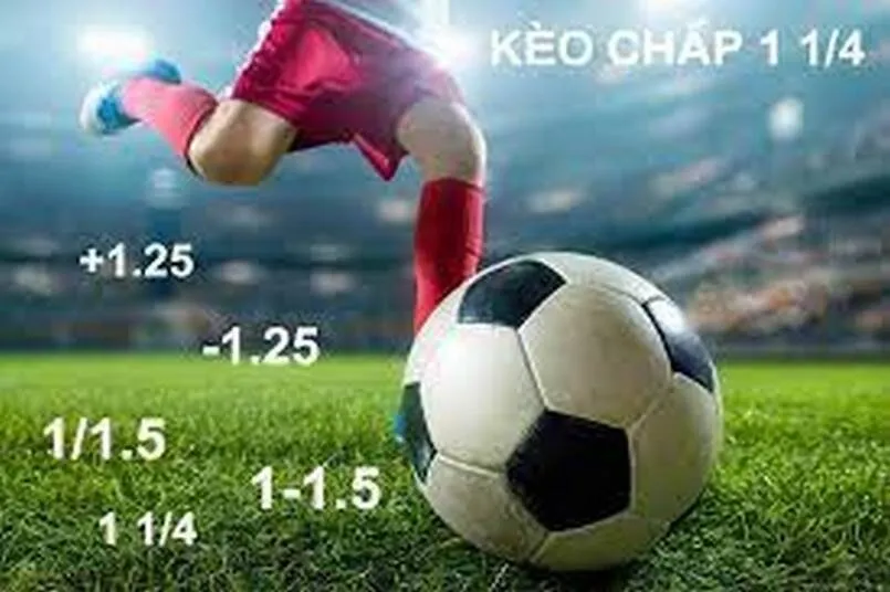 Kèo chấp ¼ là gì? Bí quyết đánh kèo trăm trận trăm thắng 4 Kinh nghiệm soi kèo chấp ¼ từ các chuyên gia hàng đầu